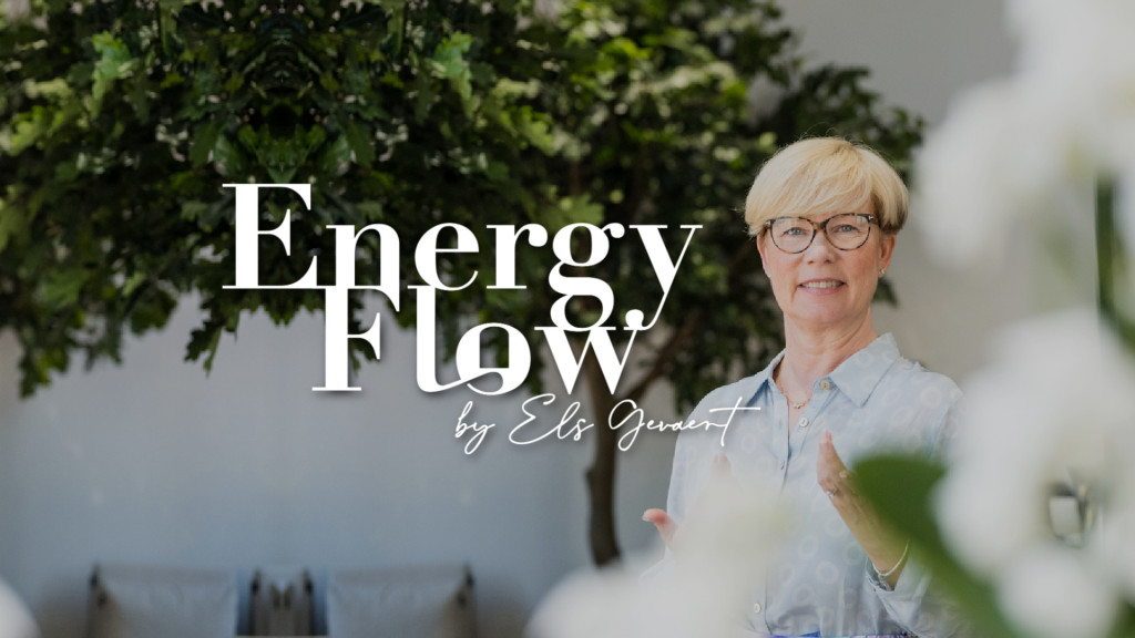 Nieuw: EnergyFlow